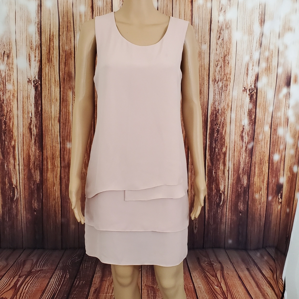 BCBG Maxazria MaxAzria Dress sz 4 Blush